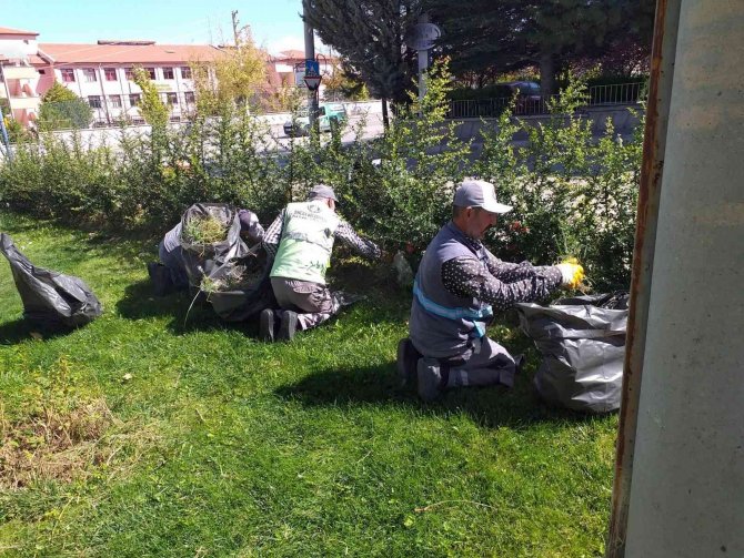Sincan Sonbaharda Da Işıl Işıl