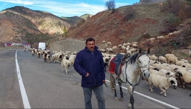 Yayladan Dönüş Başladı