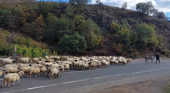 Yayladan Dönüş Başladı
