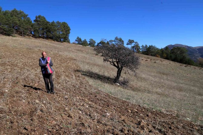 Kuşlar Aç Kalmasın Diye 11 Yıldır Boş Tarlaları Ekiyorlar