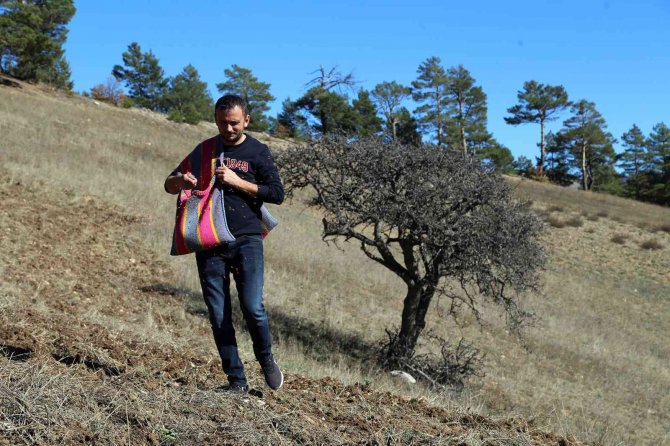 Kuşlar Aç Kalmasın Diye 11 Yıldır Boş Tarlaları Ekiyorlar