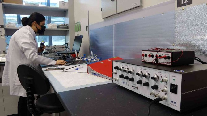 Güzelavrat Otunun Zararı Kadar Yararı Da Var