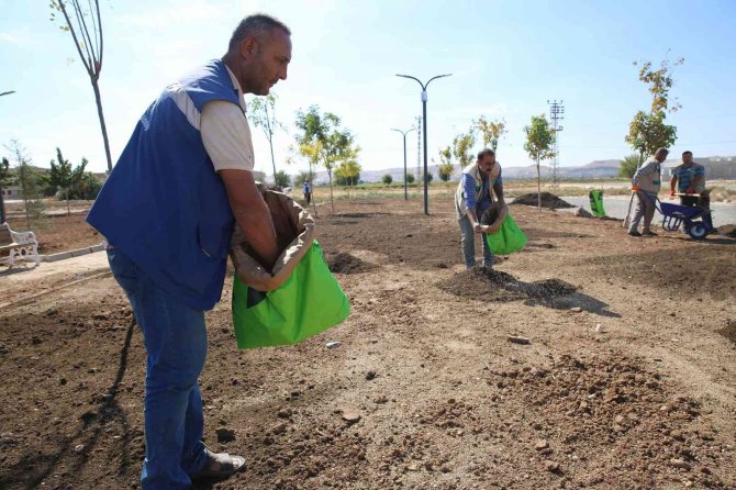 Haliliye’de Yeşil Alan Sayısı Artıyor