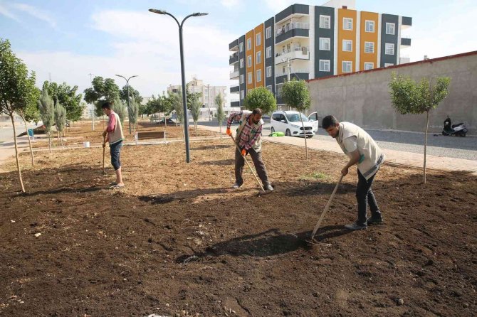 Haliliye’de Yeşil Alan Sayısı Artıyor