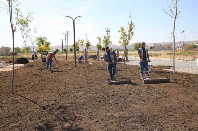 Haliliye’de Yeşil Alan Sayısı Artıyor