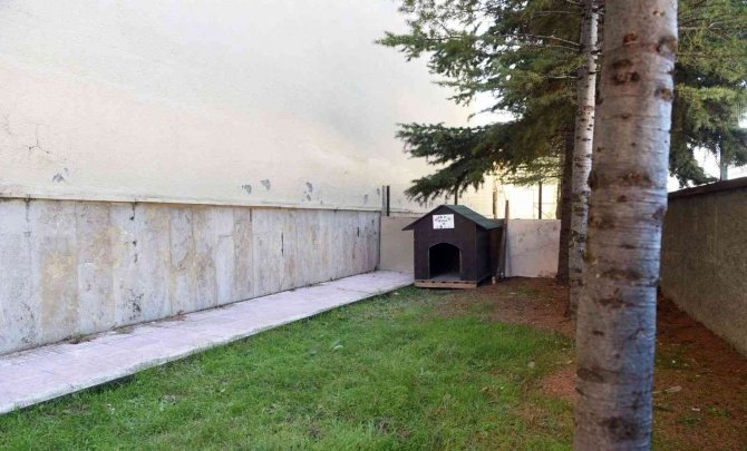 Hitit Üniversite’sinde ’Köpek Evi’ Projesi Hayata Geçirildi