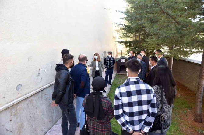 Hitit Üniversite’sinde ’Köpek Evi’ Projesi Hayata Geçirildi