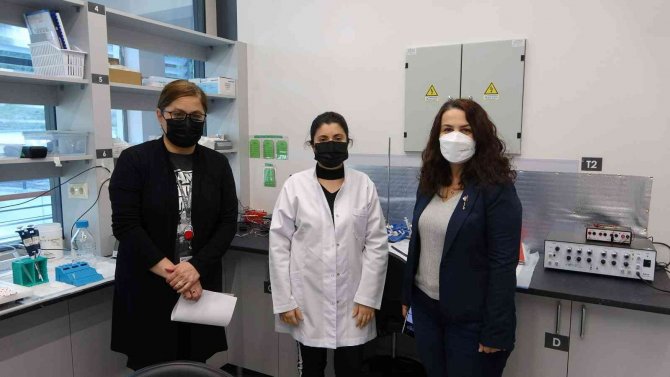 Güzelavrat Otunun Zararı Kadar Yararı Da Var