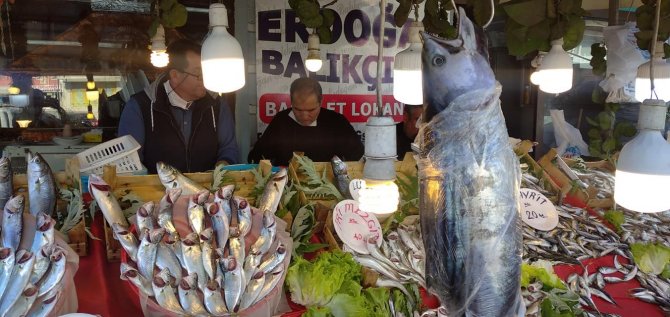 Karadeniz’de Torik Bereketi; Tanesi 300 Liraya Satılıyor