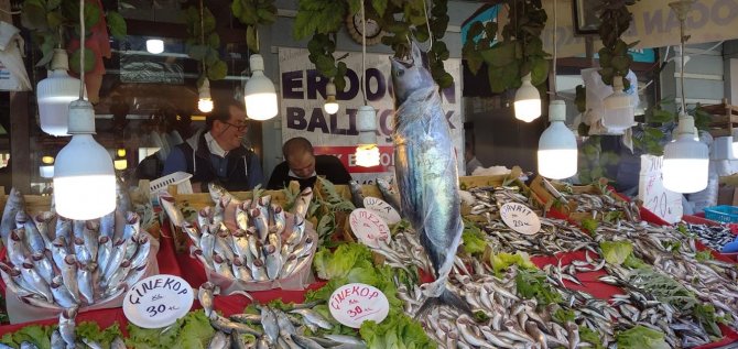 Karadeniz’de Torik Bereketi; Tanesi 300 Liraya Satılıyor