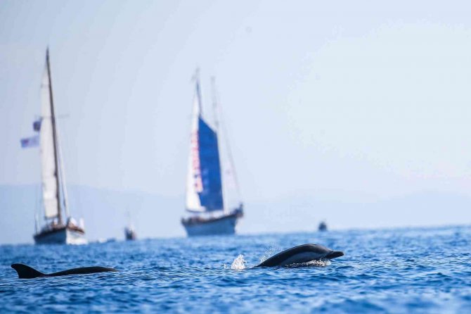 The Bodrum Cup’ta 2 Yelkenli Çarpıştı