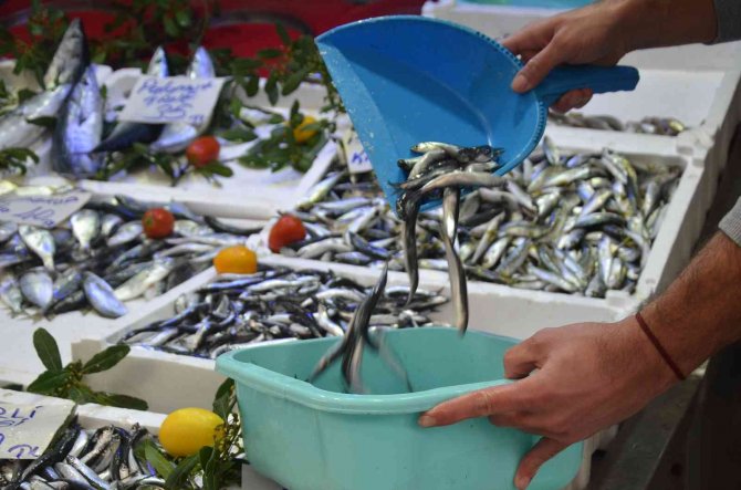 Balıkçı Tezgahlarında Durgunluk