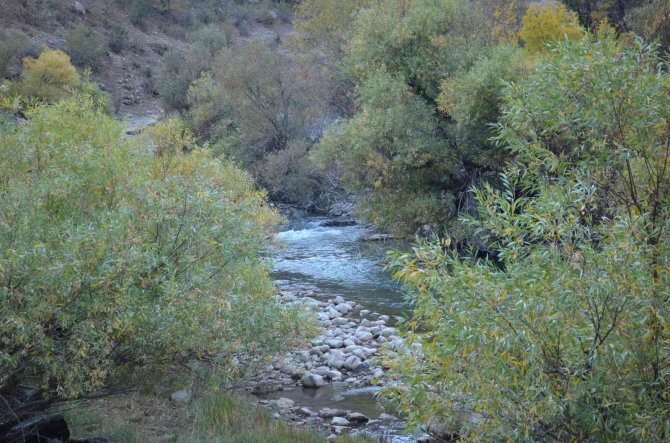 Habur Çayı Etrafında Ağaçların Renk Cümbüşü Kartpostallık Görüntüler Oluşturdu
