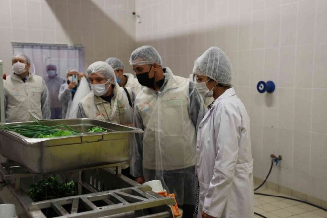 100 Kişinin Hastanelik Olmasının Ardından Jet Denetim: 5 Yemek Fabrikasına Ceza Yağdı