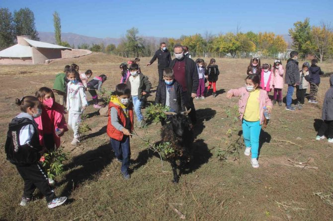 Erzincan’da Minik Öğrenciler Çiftlikteki Doğal Yaşamı Yerinde Gördü