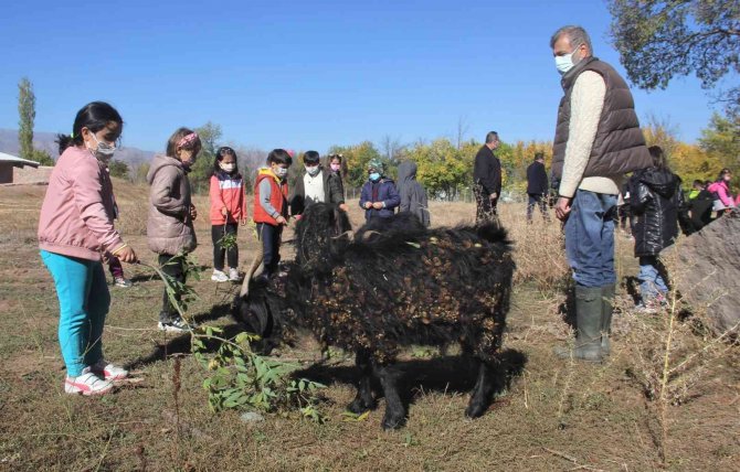 Erzincan’da Minik Öğrenciler Çiftlikteki Doğal Yaşamı Yerinde Gördü