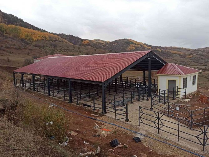 Alucra Modern Hayvan Pazarına Kavuşuyor