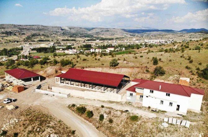 Alucra Modern Hayvan Pazarına Kavuşuyor