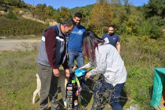 Bayat Ekmekler Can Dostlara Aş Olacak