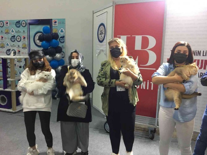 Sosyal Medyada Fenomen Olan Prenses Kediseverleri Büyüledi