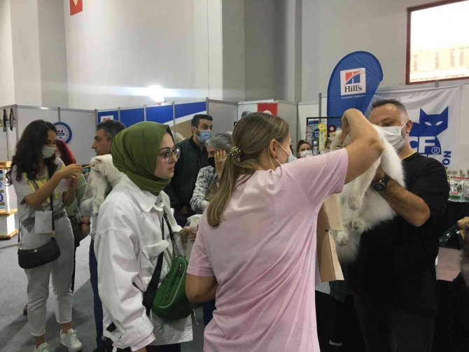 Sosyal Medyada Fenomen Olan Prenses Kediseverleri Büyüledi