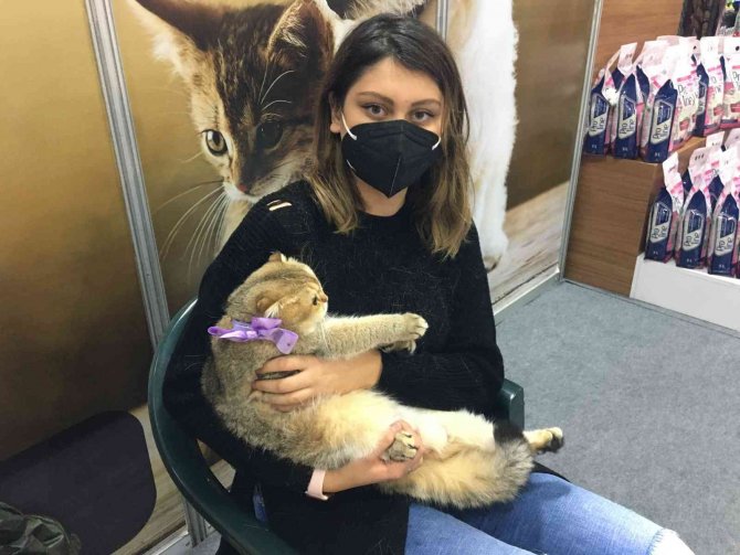 Sosyal Medyada Fenomen Olan Prenses Kediseverleri Büyüledi