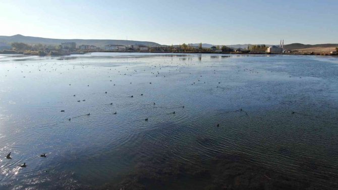 Toplu Balık Ölümleriyle Endişelendiriyordu, Eski Görünümüne Kavuştu