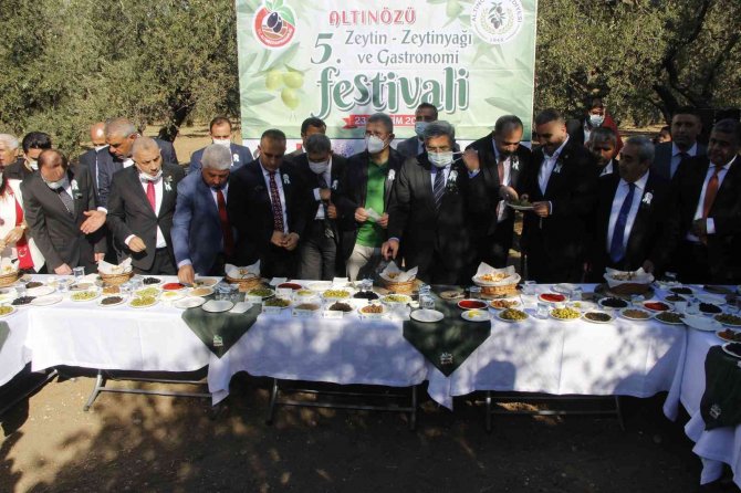 Hatay’da "Zeytin Ve Zeytinyağı Festivali" Coşkusu