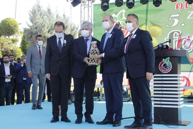 Hatay’da "Zeytin Ve Zeytinyağı Festivali" Coşkusu