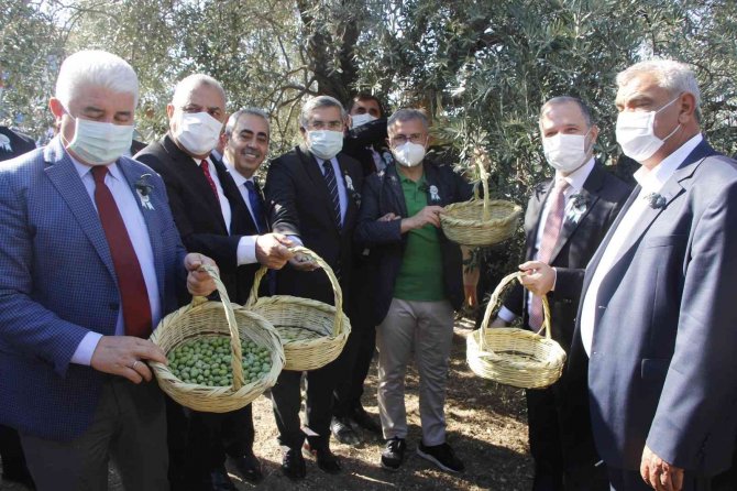 Hatay’da "Zeytin Ve Zeytinyağı Festivali" Coşkusu