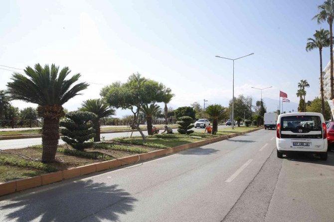 Antalya’da 3 Milyon Kışlık Çiçek Toprakla Buluşuyor