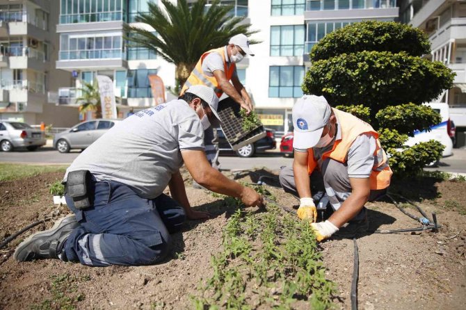 Antalya’da 3 Milyon Kışlık Çiçek Toprakla Buluşuyor