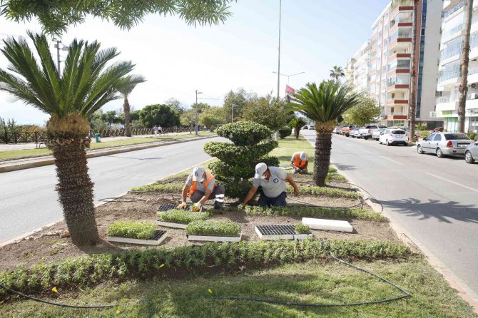 Antalya’da 3 Milyon Kışlık Çiçek Toprakla Buluşuyor
