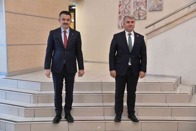 Ak Partili Canbey’den Ayvalık’a “Nikita Deresi” Müjdesi