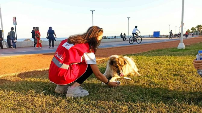 Genç Kızılay Mersin Üniversitesi Ekibinden Anlamlı Etkinlik