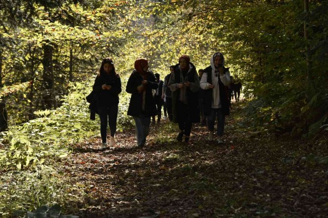 Görsel Şöleni Görmek İçin Örümcek Ormanlarına Akın Ettiler