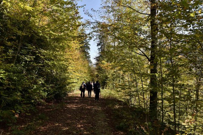 Görsel Şöleni Görmek İçin Örümcek Ormanlarına Akın Ettiler