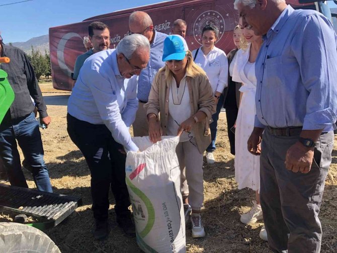 Antalya’da Karakılçık Buğdayı Üretilmeye Başlandı