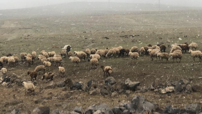 Metroloji Günler Önce Uyarmıştı