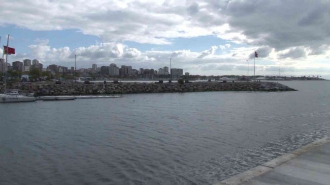 Kurbağalıdere’de Su Samuru Çıktı, Vatandaş Şaşkına Döndü