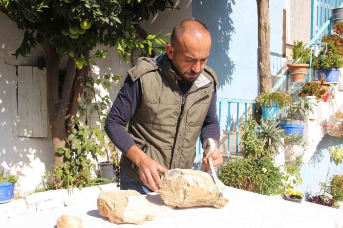 Küçük Kızın Bulduğu Fosil Müze Tarafından Alındı