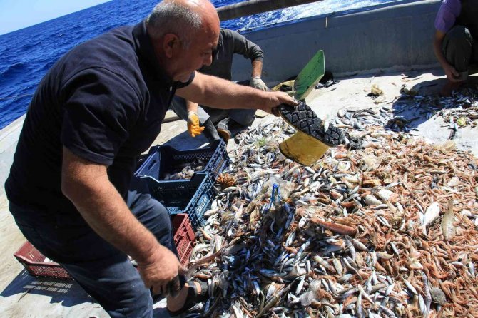 Akdeniz’de Balıktan Çok Çöp Çıkıyor, Balıkçı Nadas İstiyor