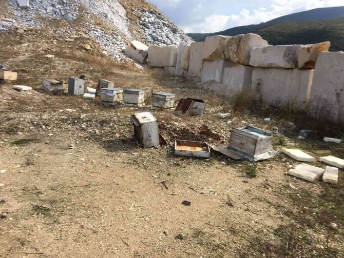 Arıcıların Başı, Ayılarla Dertte