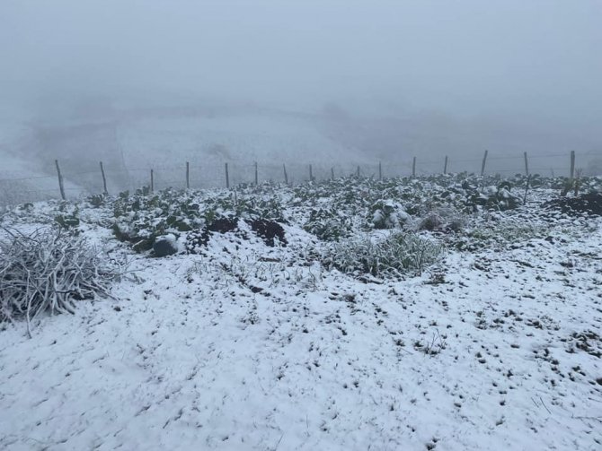 Ordu Yaylalarında Kar Güzelliği