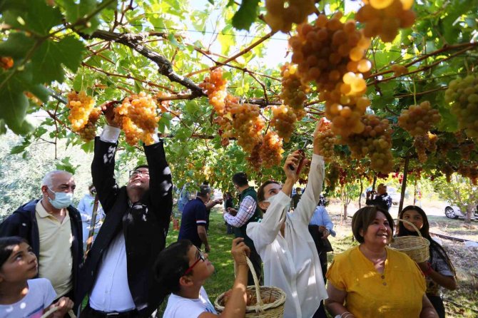 Seydikemer’de ‘Bağbozumu Şenliği’