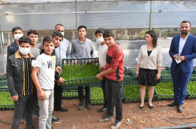 Öğretmen Okul İçin İstedi Tarsus Belediyesi 20 Bin Fide Gönderdi