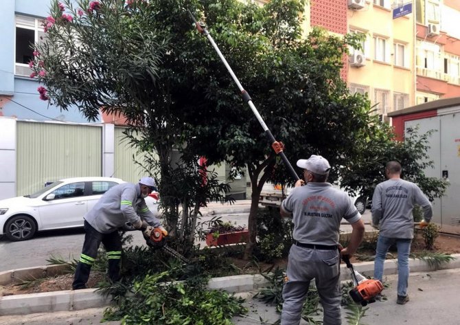 Akdeniz’de Park Ve Yeşil Alanlarda Kesintisiz Bakım