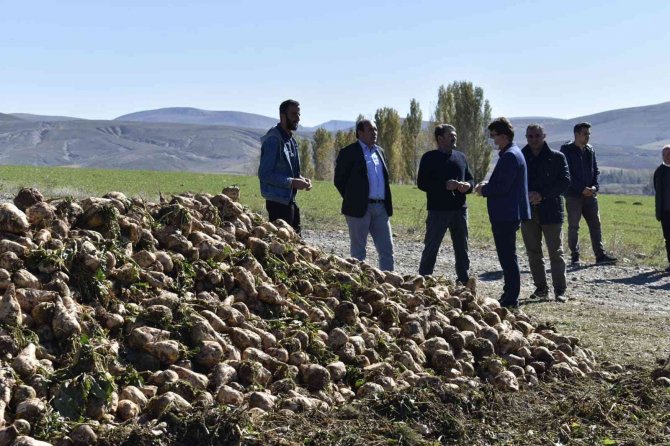 Bayburt’ta Bu Yıl Hedeflenen Şeker Pancarı Üretimi 72 Bin 500 Ton
