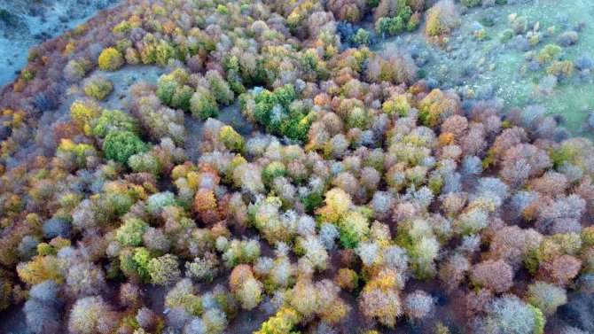 Yozgat Ormanlarında Renk Cümbüşü Havadan Görüntülendi