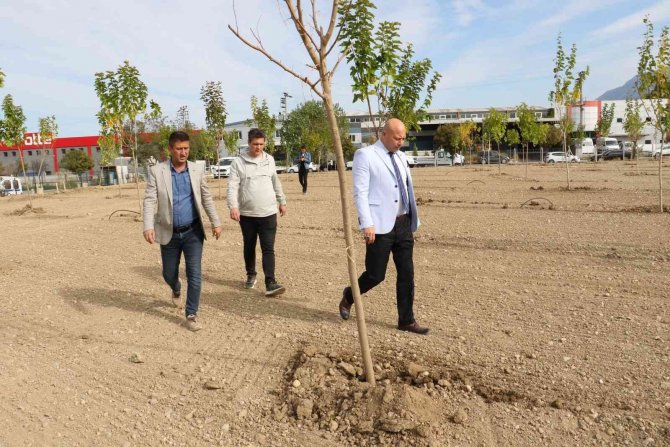 Manisa’nın Yeşillendirilmesine Devam Ediliyor
